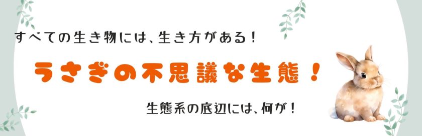 うさぎの不思議な生態!